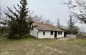 Eladó Kiskunfélegyházai tanya hirdetés (42843424)