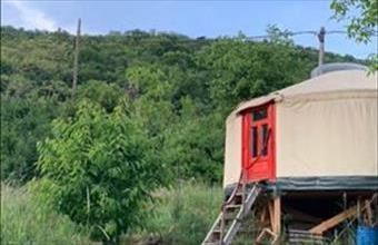 Eladó Budaörsi hétvégi ház hirdetés (38372532)