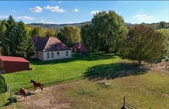 Eladó Kisecseti étterem, vendéglő hirdetés (29395773)