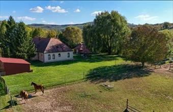 Eladó Kisecseti étterem, vendéglő hirdetés (29395773)