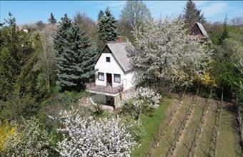 Eladó Oroszlányi hétvégi ház hirdetés (39837565)