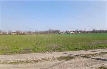 Eladó Tiszaföldvári lakóövezeti telek hirdetés (33534617)