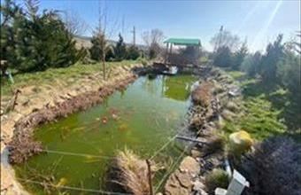 Eladó Gelsei családi ház hirdetés (97445349)