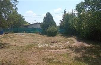 Eladó Törökbálinti üdülőövezeti telek hirdetés (81799774)