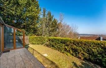 Eladó Budapest III. kerületi egyéb lakás hirdetés (41769279)