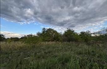 Eladó Alsónémedi termőföld, szántó hirdetés (46459394)