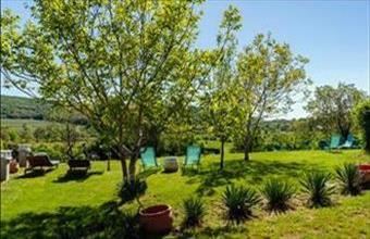 Eladó Felsőörsi hétvégi ház hirdetés (54353511)