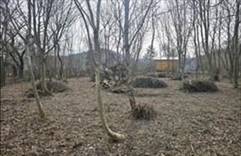 Eladó Dunabogdányi lakóövezeti telek hirdetés (67274223)