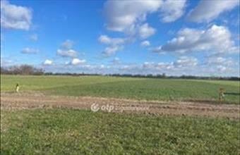 Eladó Taksonyi külterületi telek hirdetés (75641187)