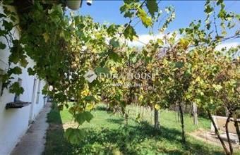 Eladó Szendehelyi családi ház hirdetés (92345866)