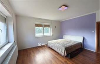 Eladó Dunaharaszti családi ház hirdetés (44452745)