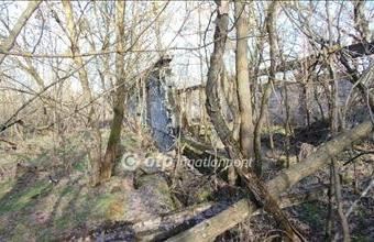 Eladó Jászberényi egyéb mezőgazdasági ingatlan hirdetés (71735752)