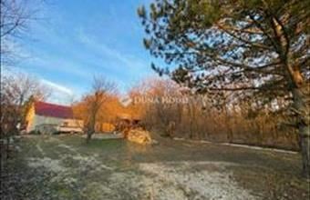 Eladó Pilisszántói családi ház hirdetés (35824242)