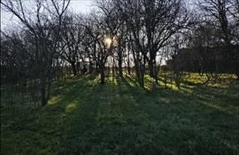 Eladó Polgári tanya hirdetés (44929546)