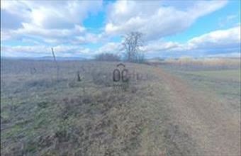 Eladó Csomádi egyéb mezőgazdasági ingatlan hirdetés (93652479)