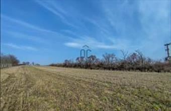 Eladó Magyaralmási egyéb mezőgazdasági ingatlan hirdetés (72134737)