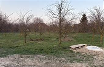 Eladó Ásványrárói lakóövezeti telek hirdetés (88185333)