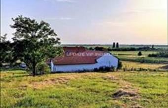 Eladó Balatonszabadi egyéb mezőgazdasági ingatlan hirdetés (45723524)