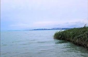 Eladó Balatonkenesei lakóövezeti telek hirdetés (46375572)