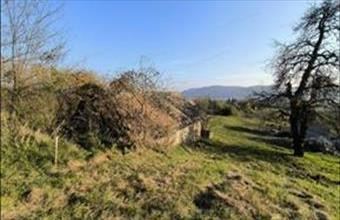 Eladó Zalaszántói hétvégi ház hirdetés (47411497)