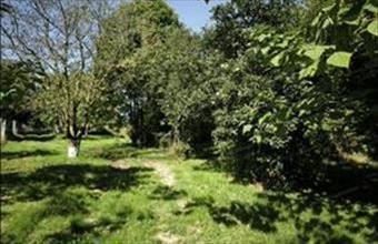 Eladó Alsópáhoki egyéb mezőgazdasági ingatlan hirdetés (74838327)