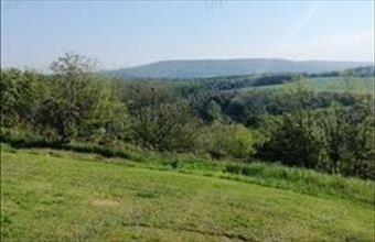 Eladó Sényei egyéb mezőgazdasági ingatlan hirdetés (78911894)