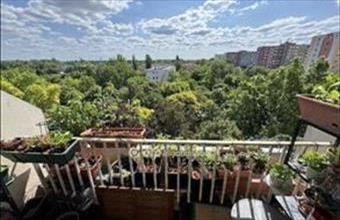 Eladó Budapest III. kerületi panel lakás hirdetés (35742588)