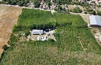 Eladó Gyömrői fejlesztési lakóterület hirdetés (43428323)