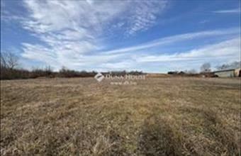 Eladó Maglódi lakóövezeti telek hirdetés (41679172)