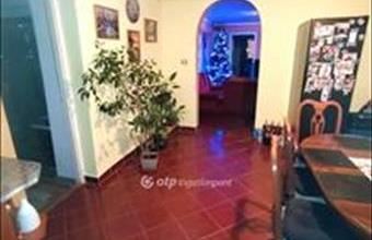 Eladó Felgyői családi ház hirdetés (23973239)