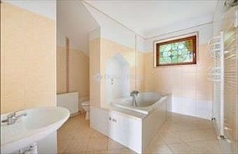 Eladó Szentendrei családi ház hirdetés (56136342)