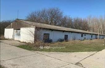 Kiadó Bugyi raktár hirdetés (39974644)