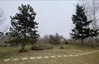 Eladó Tápióbicskei családi ház hirdetés (77277397)