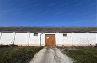 Kiadó Kecskeméti raktár hirdetés (63823642)