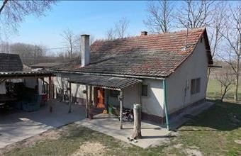 Eladó Móricgáti egyéb mezőgazdasági ingatlan hirdetés (57839265)