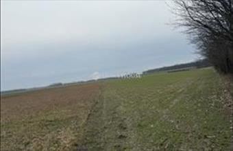 Eladó Téti lakóövezeti telek hirdetés (88324969)