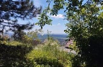 Eladó Budaörsi családi ház hirdetés (52717664)