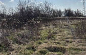 Eladó Győri lakóövezeti telek hirdetés (34594947)