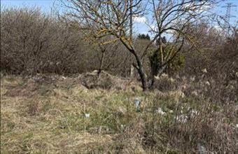 Eladó Győri lakóövezeti telek hirdetés (34594947)