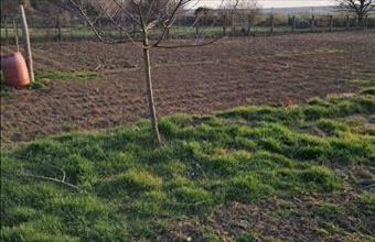 Eladó Siófoki lakóövezeti telek hirdetés (13694622)