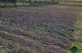 Eladó Siófoki lakóövezeti telek hirdetés (13694622)