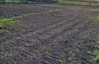 Eladó Siófoki lakóövezeti telek hirdetés (13694622)