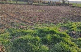 Eladó Siófoki lakóövezeti telek hirdetés (13694622)