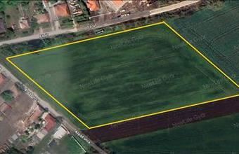 Eladó Lébényi külterületi telek hirdetés (47232374)