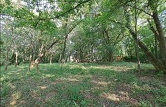 Eladó Budapest II. kerületi lakóövezeti telek hirdetés (12344774)