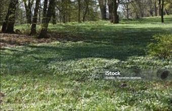 Eladó Budapest III. kerületi lakóövezeti telek hirdetés (33772434)