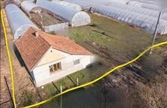 Eladó Csányi tanya hirdetés (35983979)