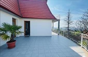 Eladó Szentendrei családi ház hirdetés (44752392)