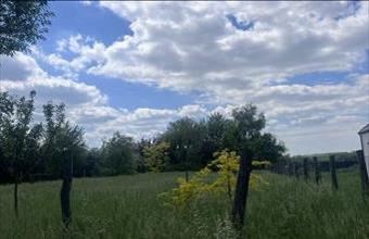 Eladó Telki lakóövezeti telek hirdetés (78794443)