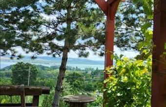 Eladó Tihanyi családi ház hirdetés (99343764)